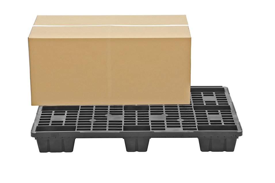 Fidus Light 1208 m. Rand