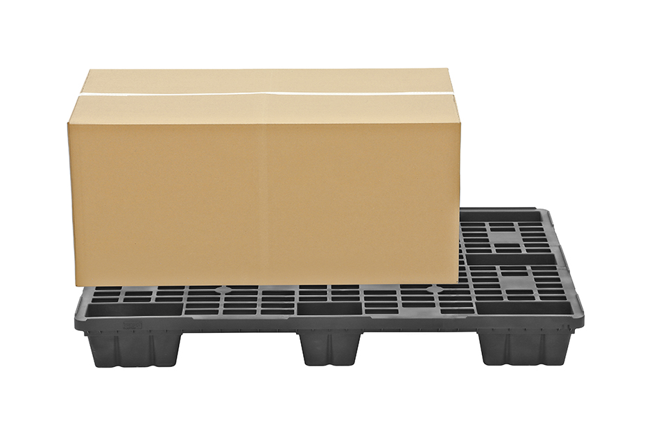 Fidus Light 1208 m. Rand