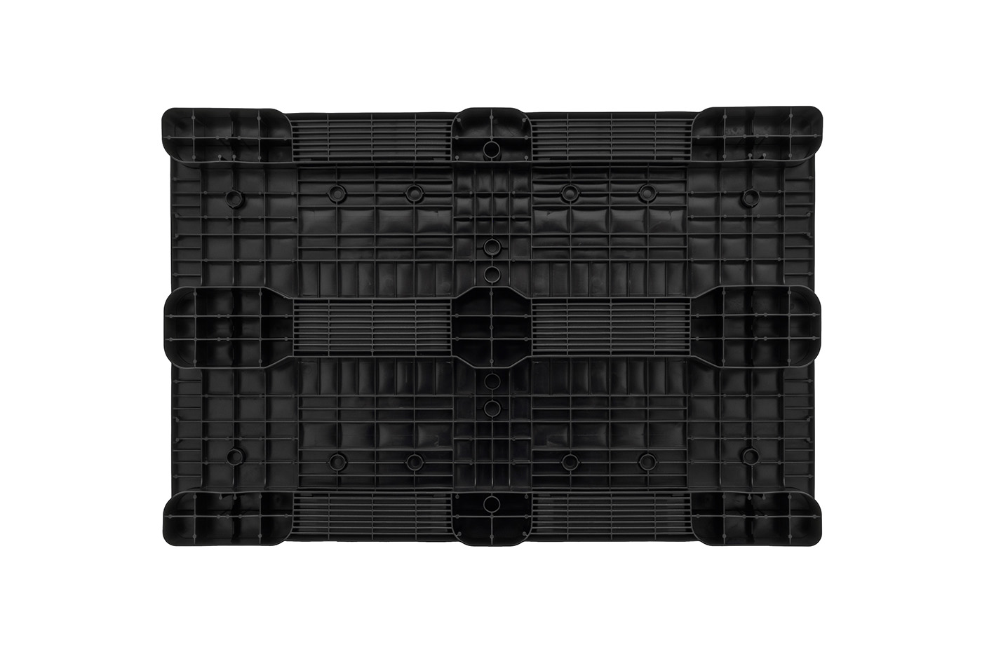 Fidus Medium 1208 3R CD