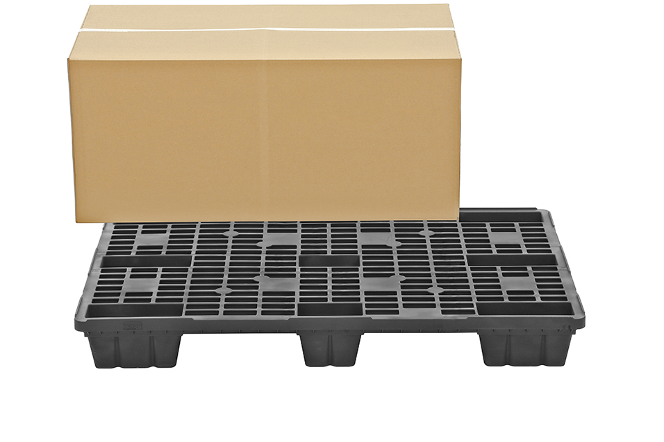 Fidus Light 1208 m. Rand