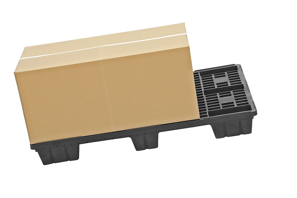 Fidus Light 1208 m. Rand